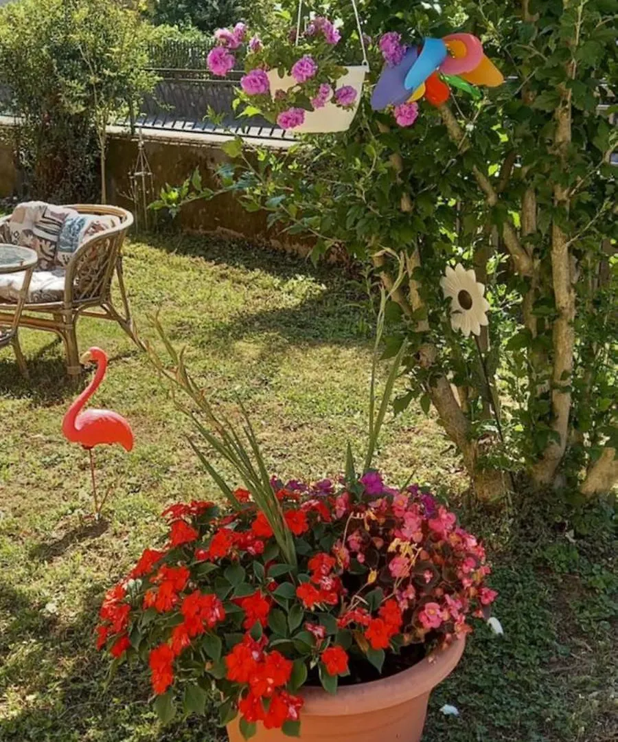 Guest house Automotodrom Grobnik - Apartments And Rooms Skejic Cavle